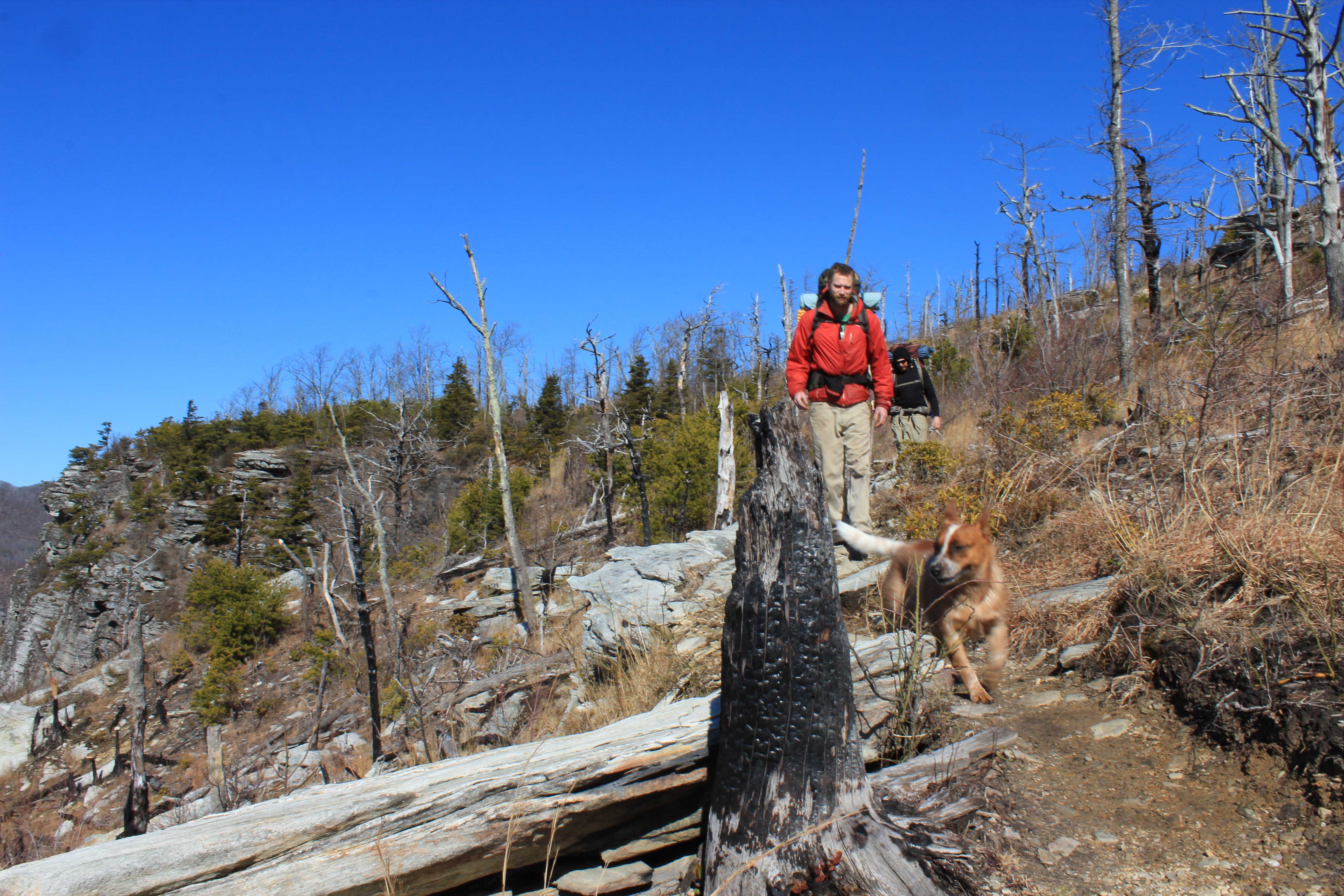 linville-gorge-hiking - Linville Gorge Hiking