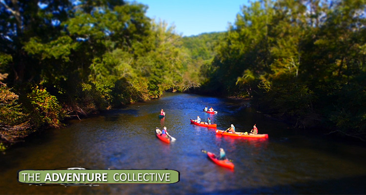 Best Brevard River Trips + Places To Paddle