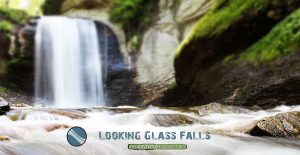 Looking Glass Falls