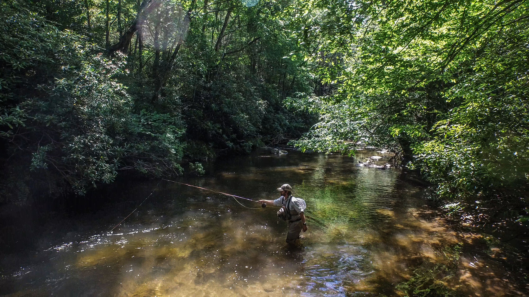 Brevard NC Fly Fishing Rivers Travel Guide The Adventure Collective