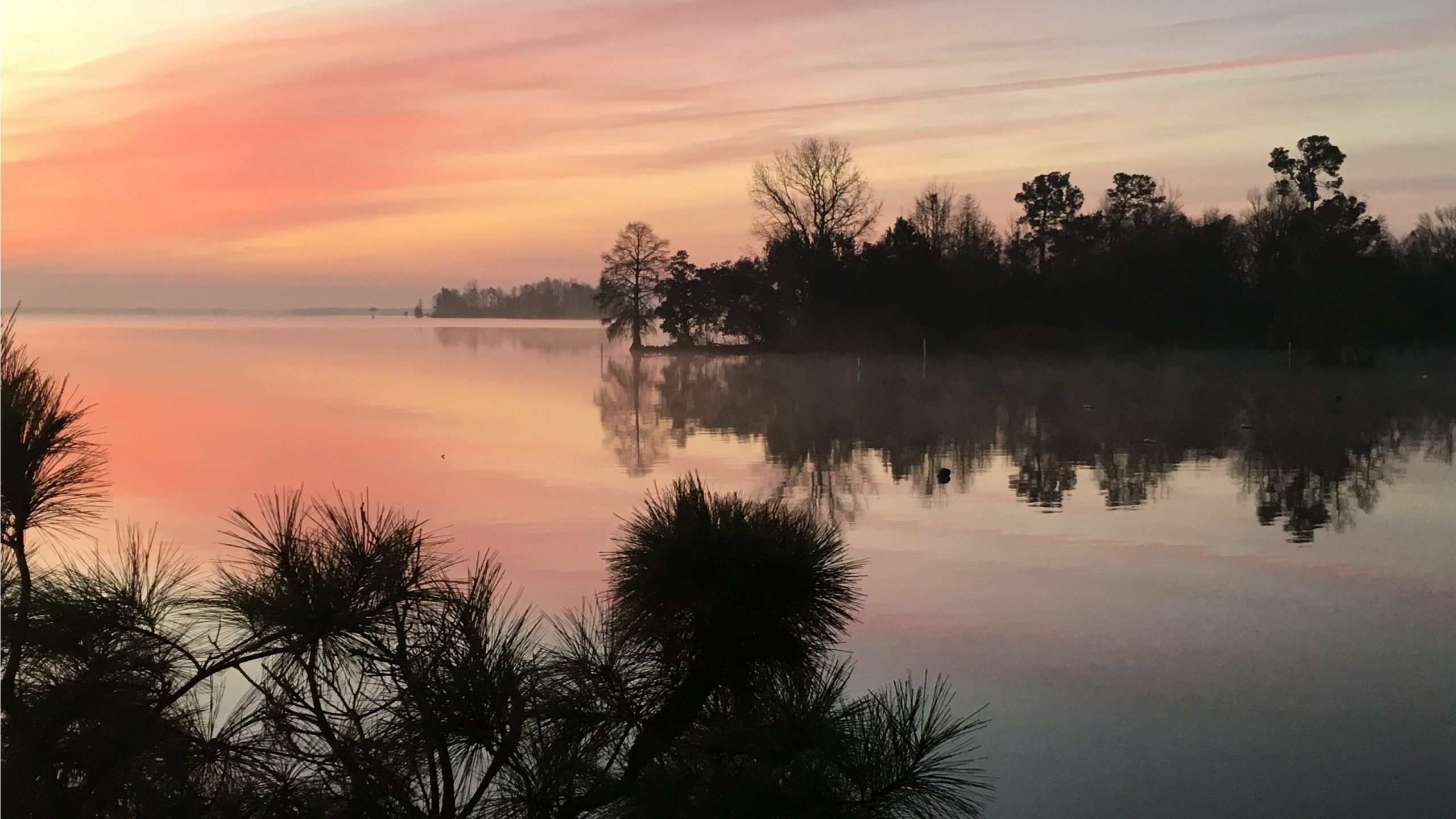 biking-around-lake-moultrie-lake-moultrie-the-adventure-collective