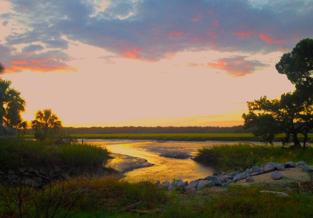 Edisto River—from Givhans Ferry State Park (Near Summerville)