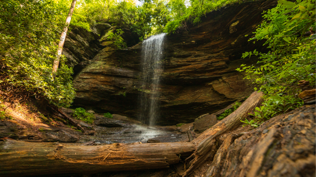 Moore Cove Falls | Brevard Waterfalls Guide