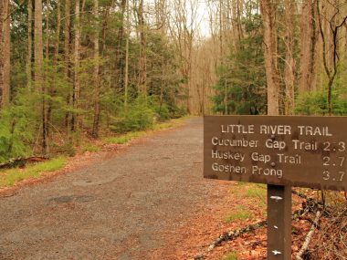 Run the Little River Trail