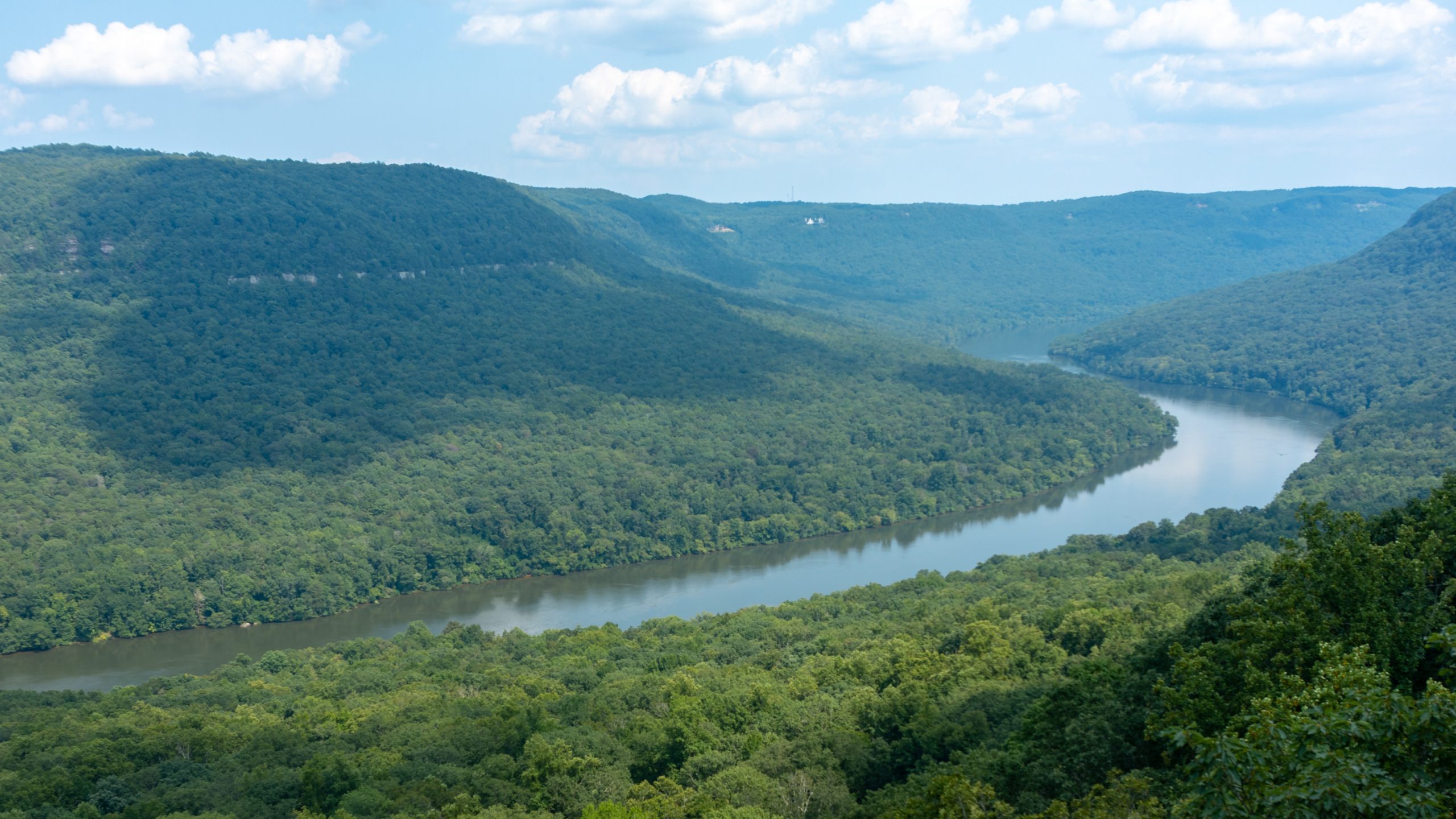 Signal Point Trail (Cumberland Trail, Prentice Cooper State Forest) | The Adventure Collective