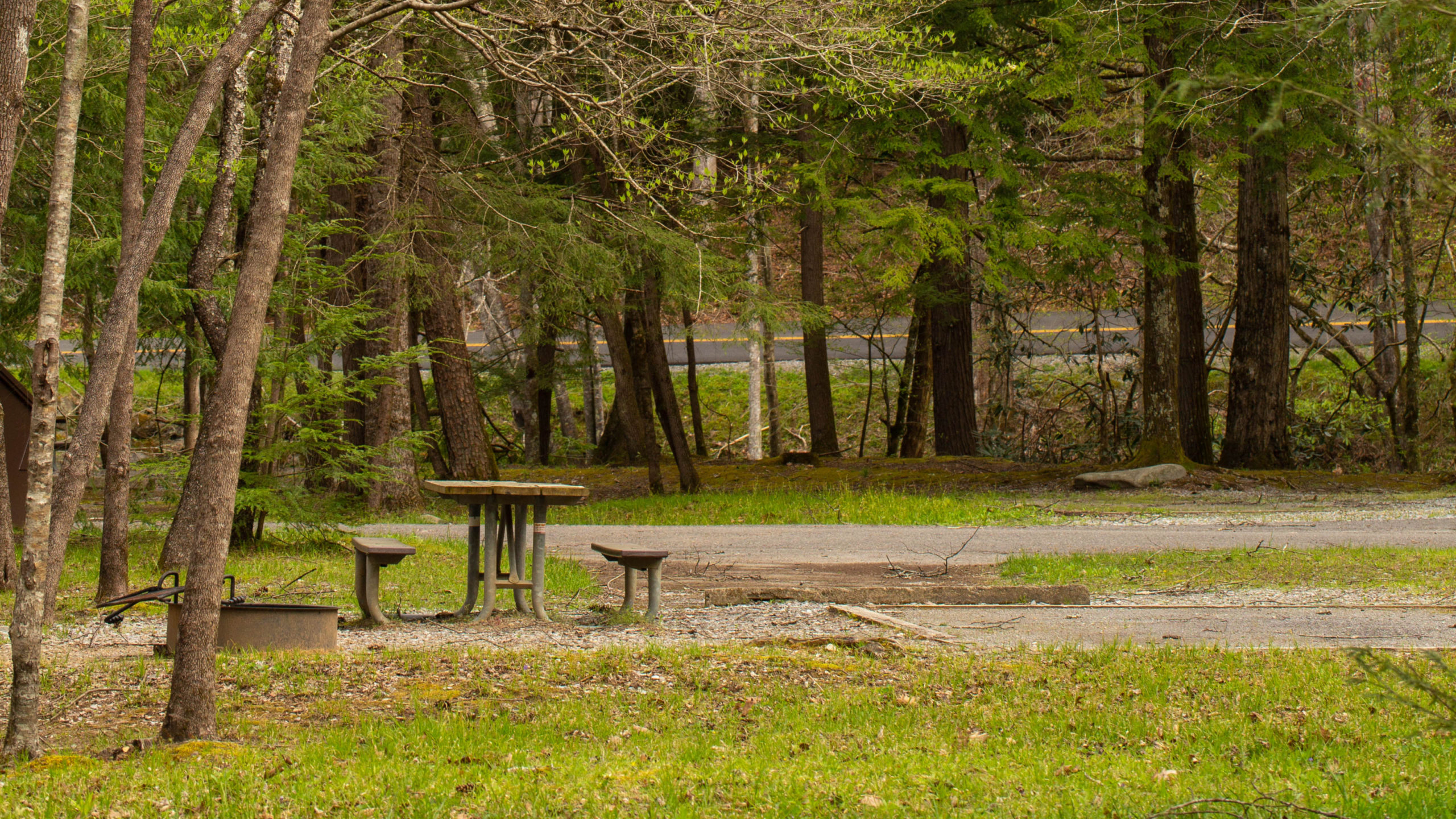 Van Hook Glade Campground Map