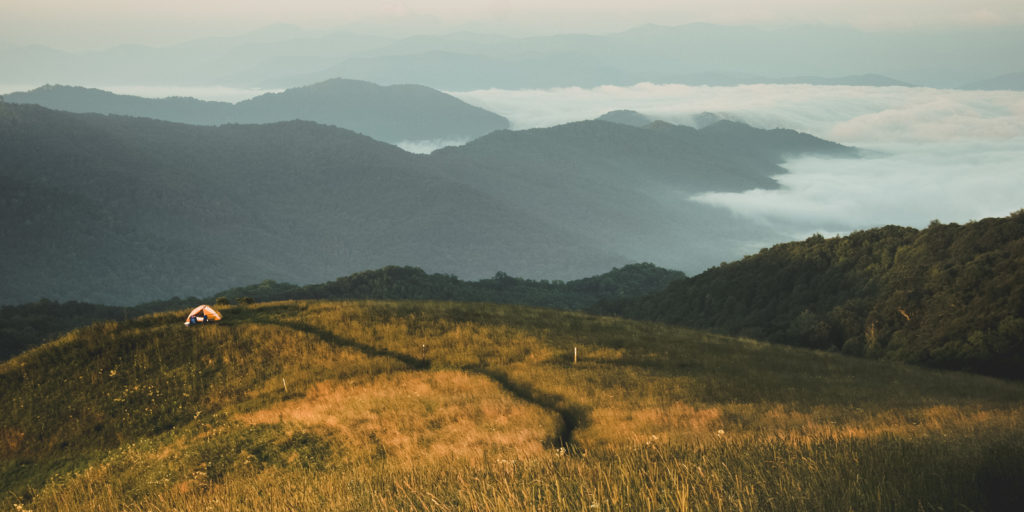 Max Patch Hiking Trail (Asheville)