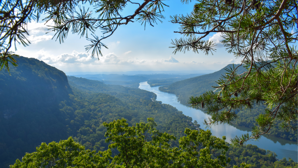 Tennessee River Gorge Trail (Chattanooga)