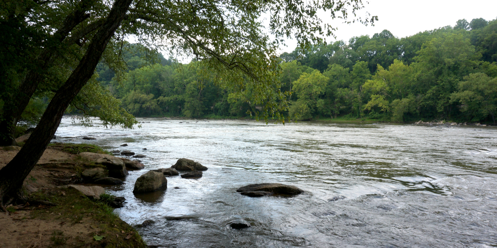 Stand Up Paddle The French Broad River (Asheville) | The Adventure ...